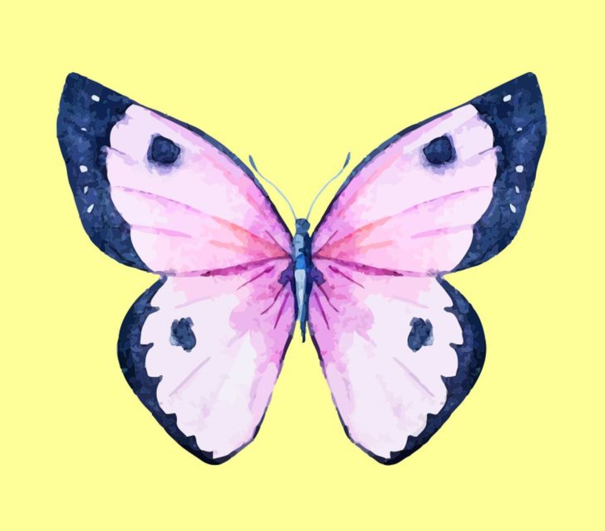 růžový motýl černé puntíky