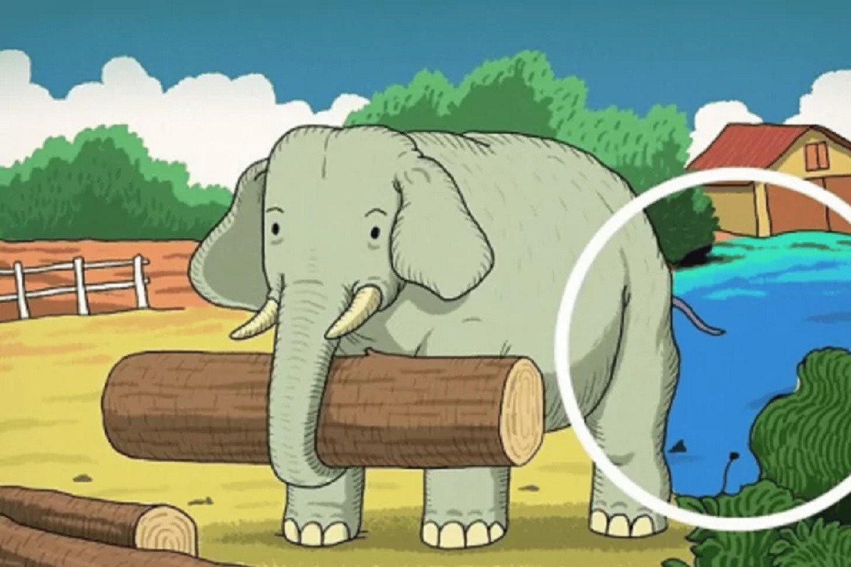 obrázek se slonem, řešení