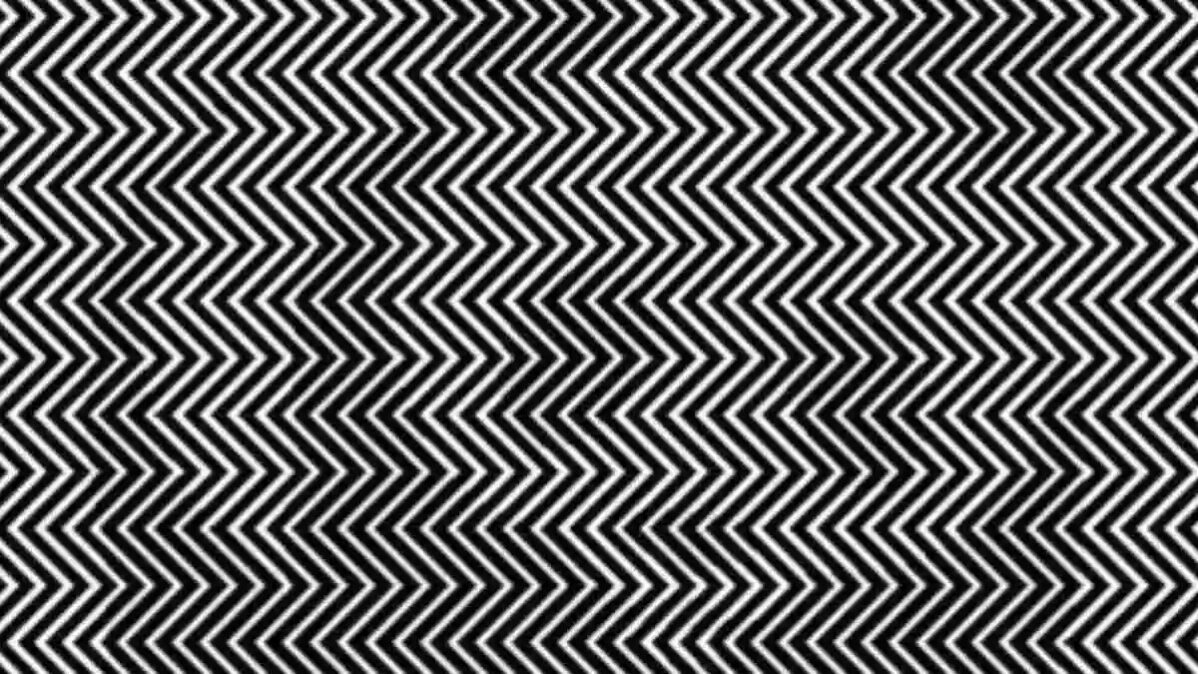 černobílá iluze