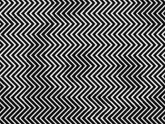 černobílá iluze