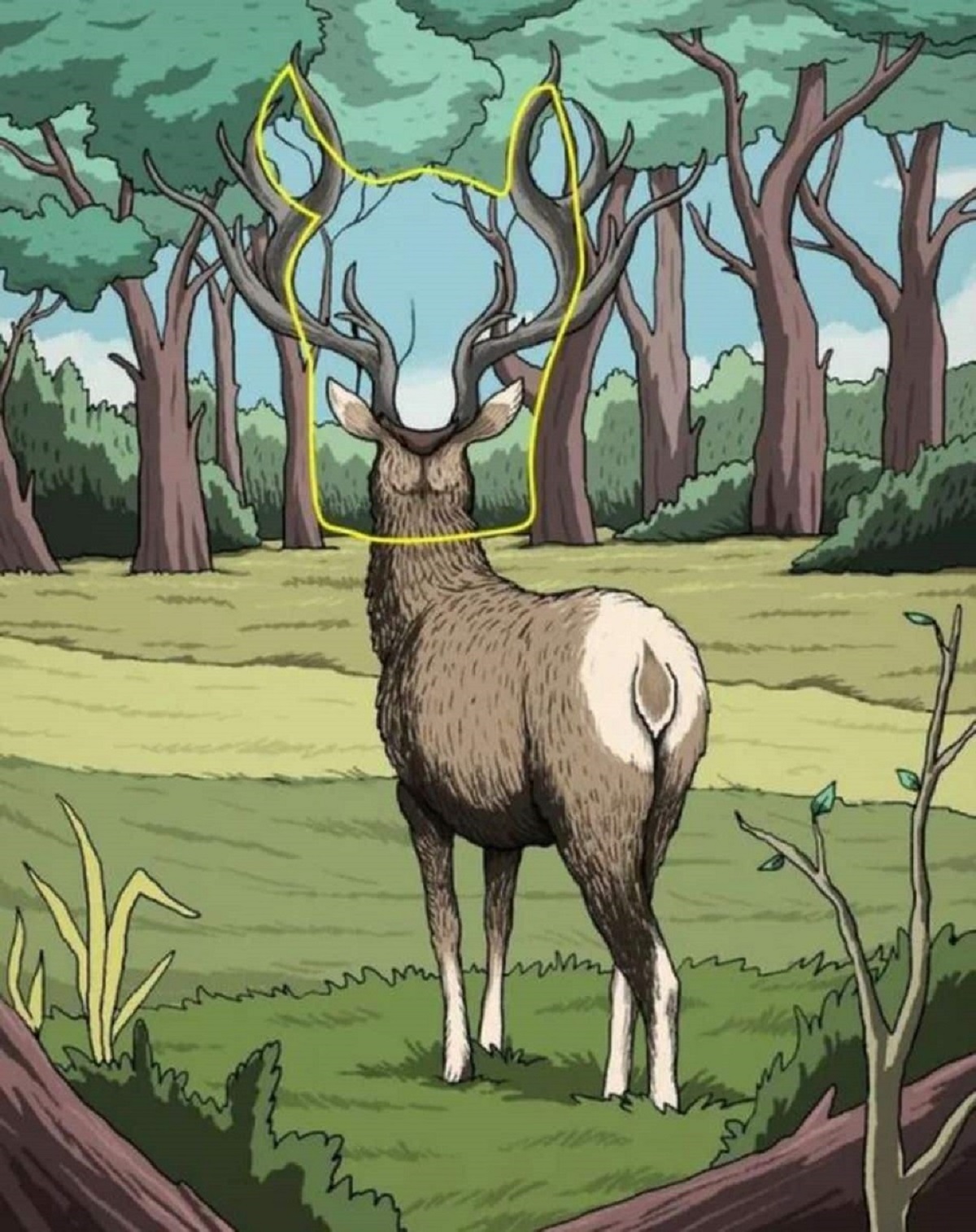 zrakový test jelen