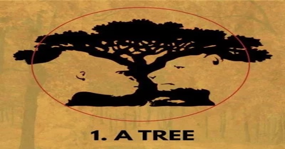 test-osobnosti-strom
