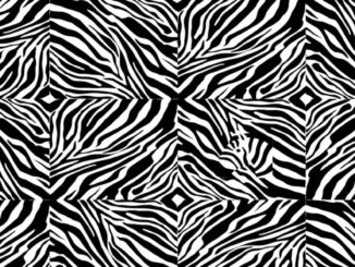 opticka-iluze-zebra-nahledovy-obrazek