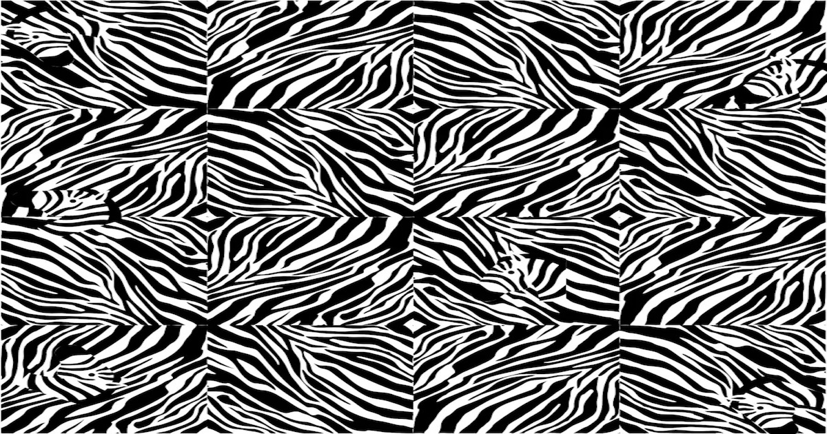 opticka-iluze-zebra
