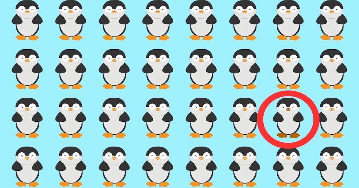 hádanka tučňák řešení