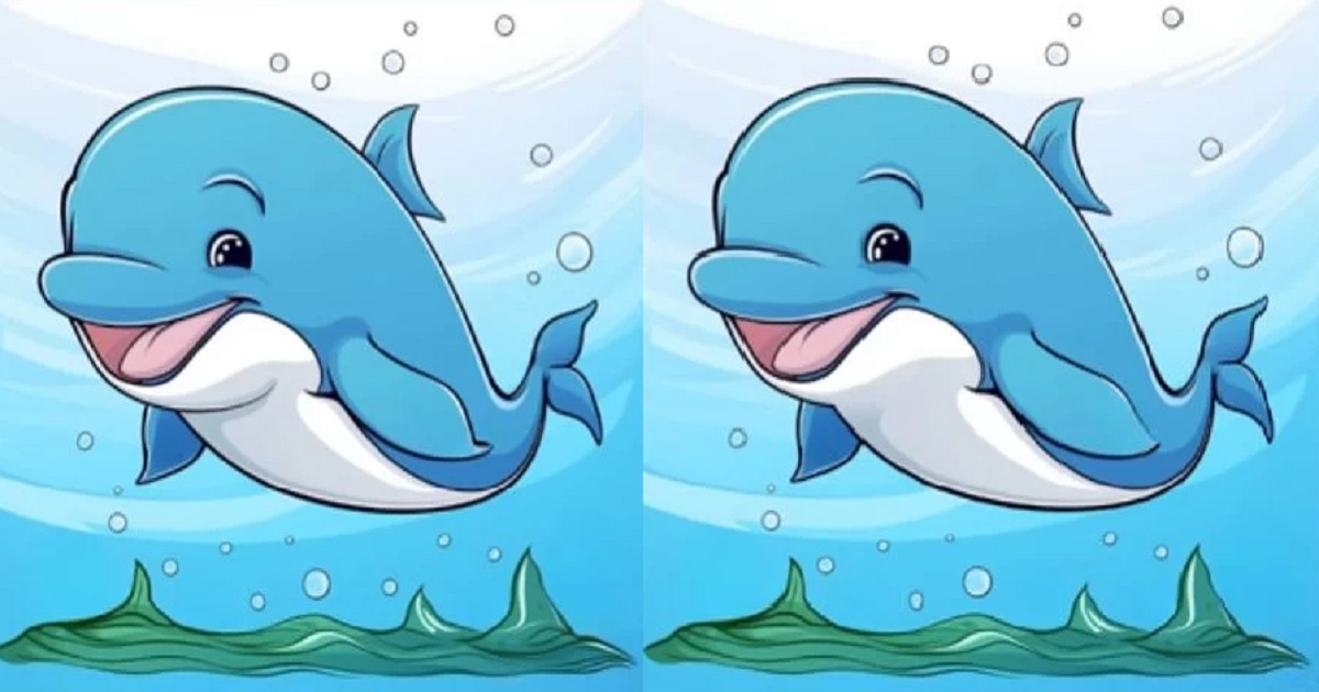 rozdíly delfín