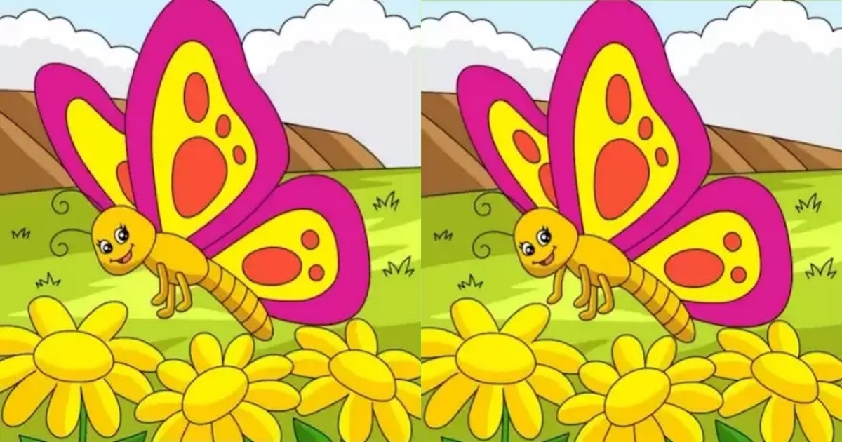 rozdíly motýl