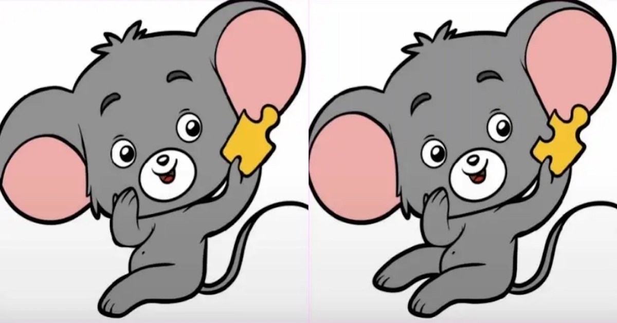 Rozdíly myš
