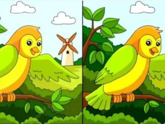 Rozdíly ptáček