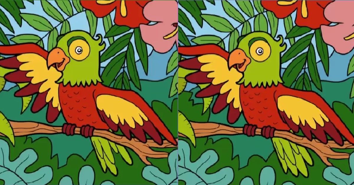 rébus papoušek rozdíly náhled