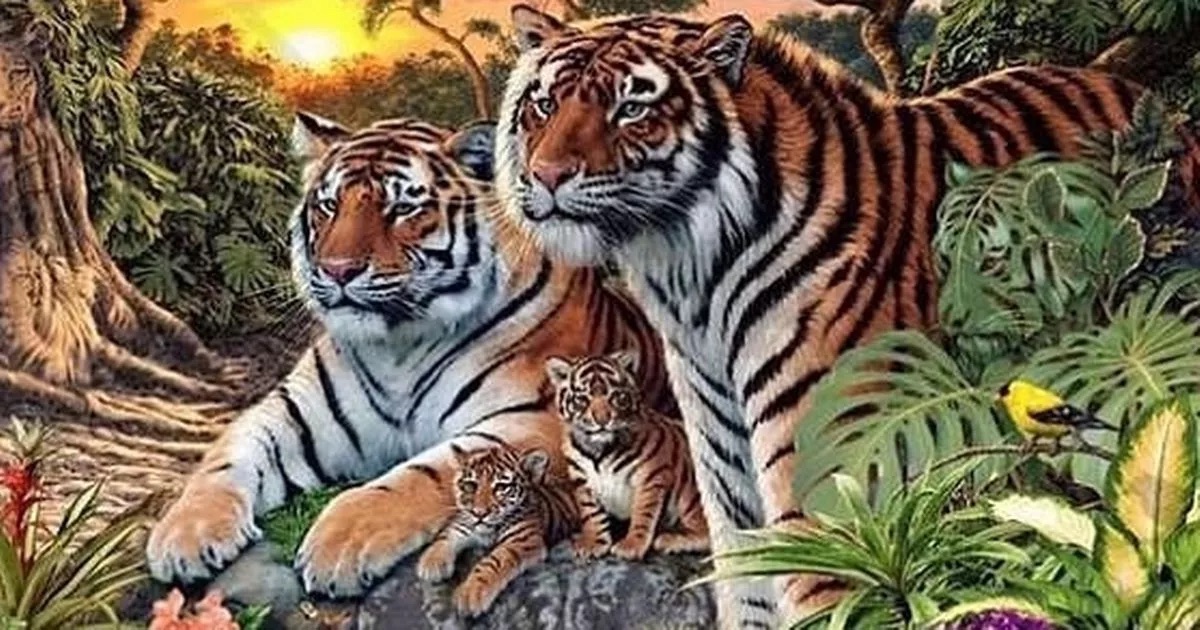 Tygr náhledový obrázek