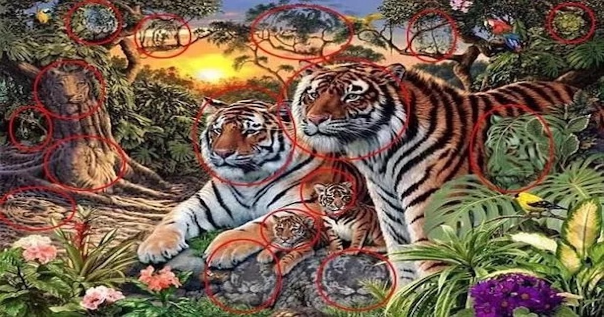 Výzva tygr řešení