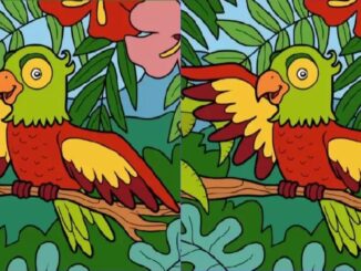 rébus rozdíly papoušci náhled