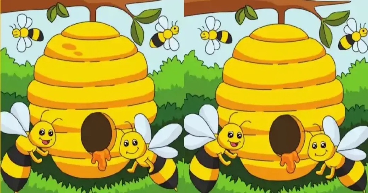 Rozdíly včely
