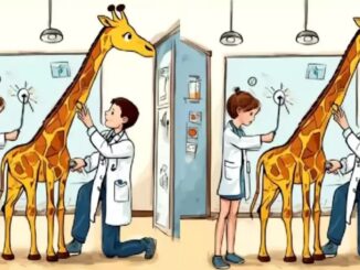rozdíly žirafa