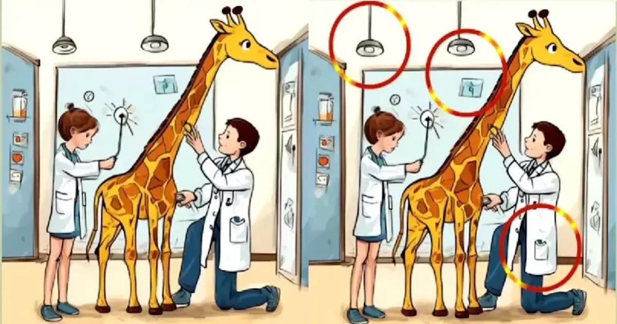 Rozdíly žirafa řešení
