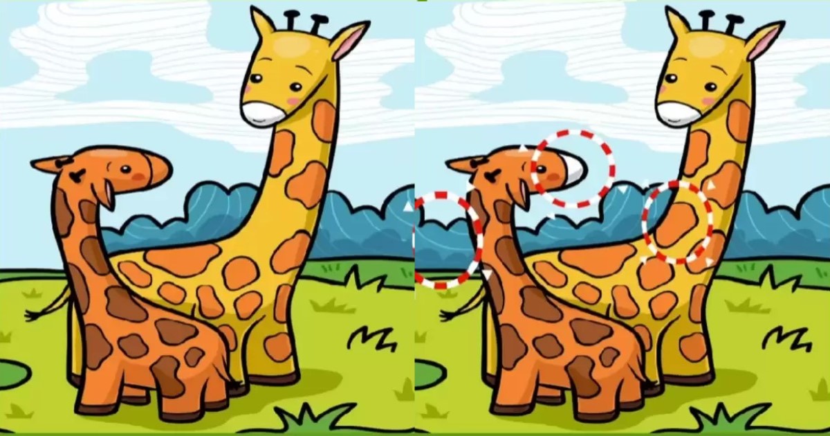 hledání rozdílů žirafy řešení