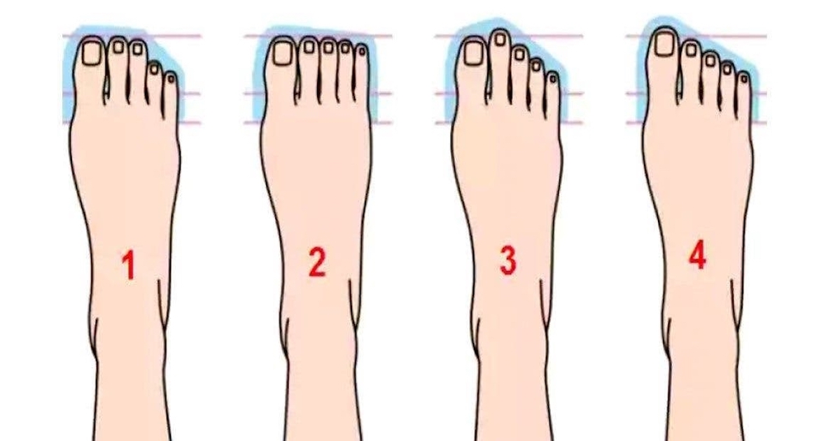 Test tvar nohy