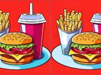 rozdíly jídlo