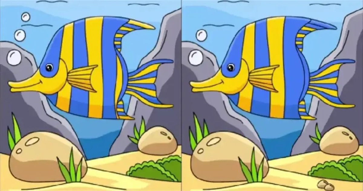 Rozdíly ryba