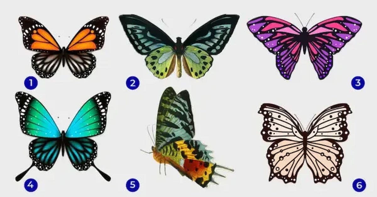 Test motýl