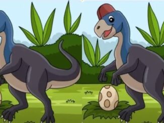 Rozdíly dinosaurus