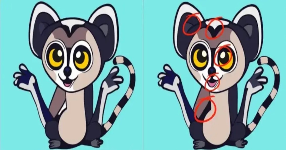Rozdíly lemur řešení