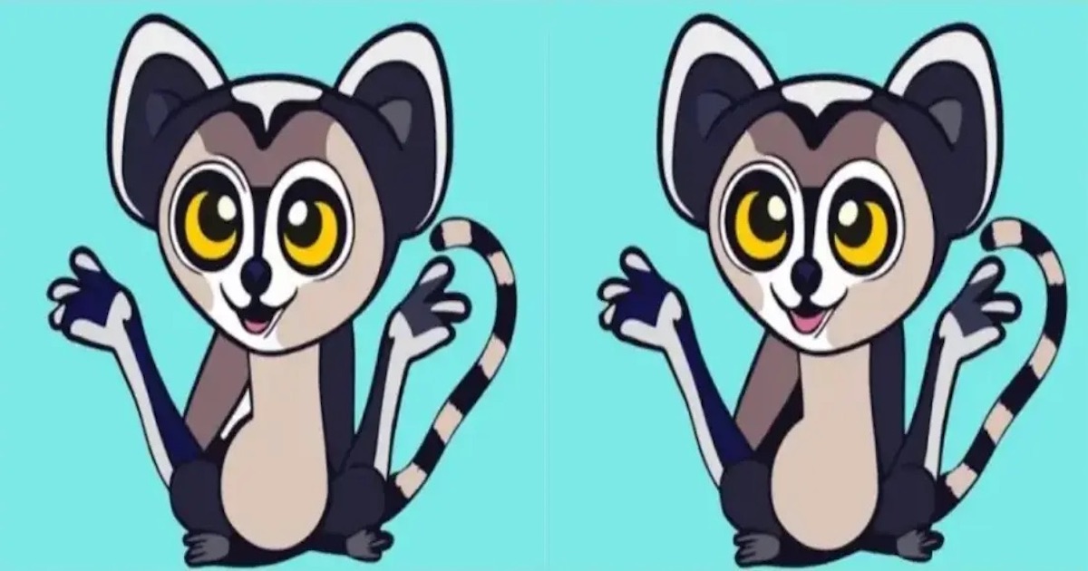 Rozdíly lemur