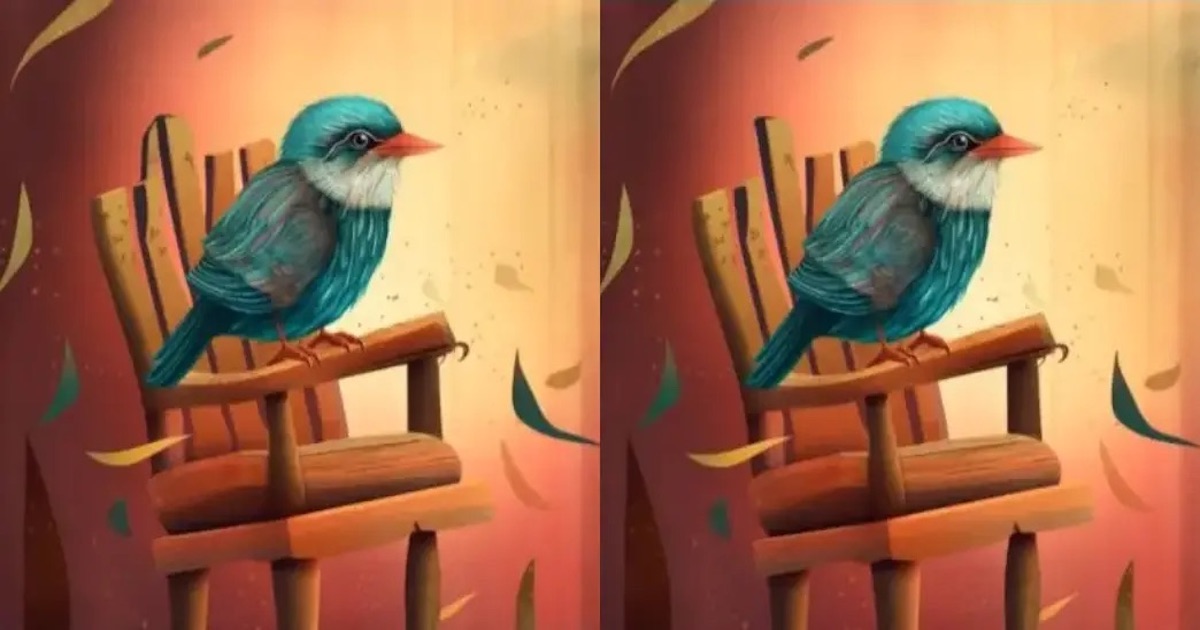 Rozdíly pták