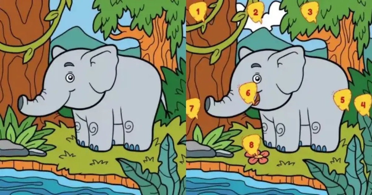 Rozdíly slon řešení