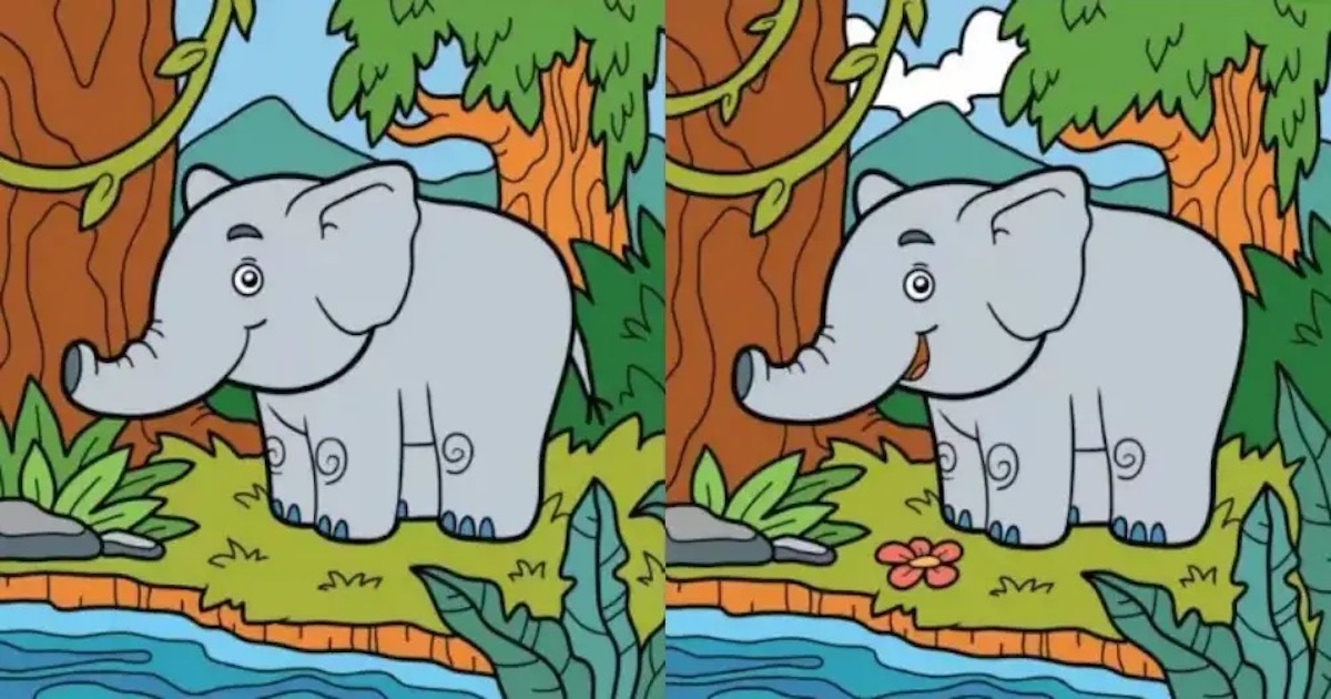 Rozdíly slon