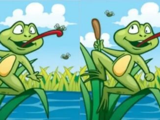 Rozdíly žába