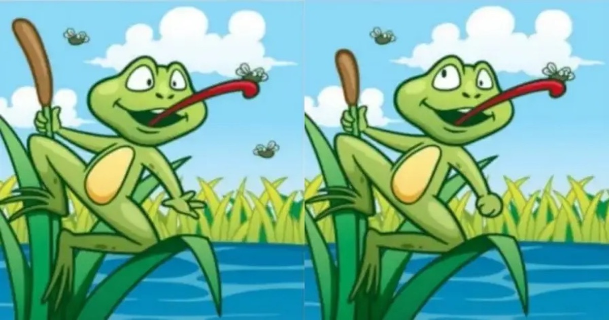 Rozdíly žába