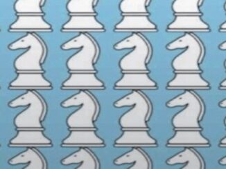Šachy náhledový obrázek
