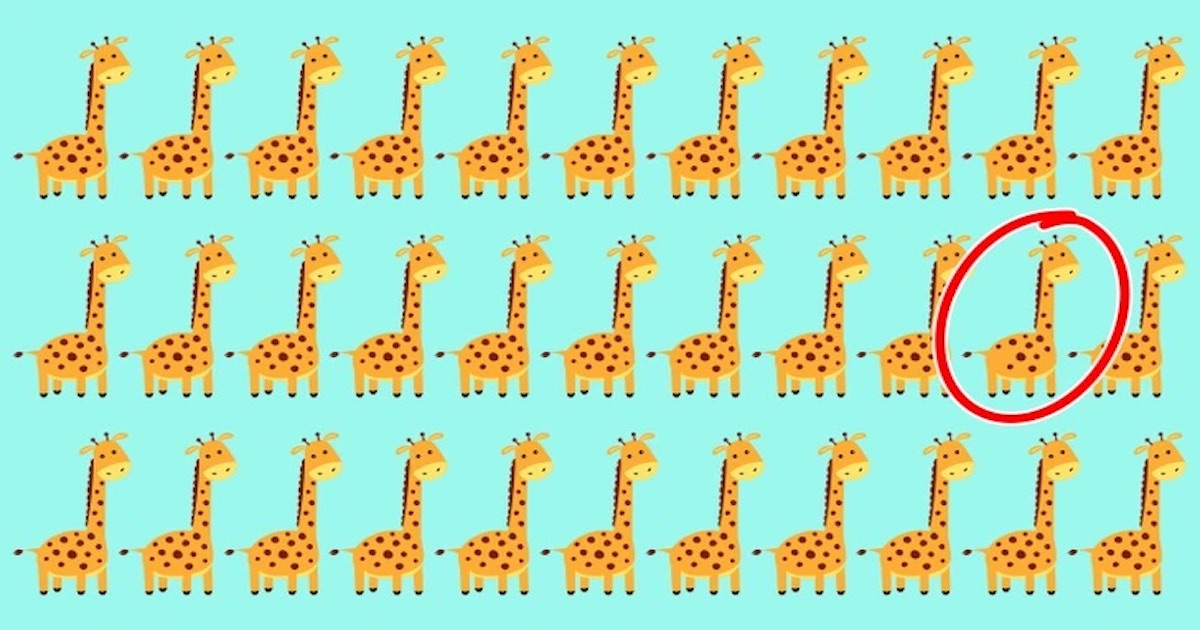 Test žirafa řešení