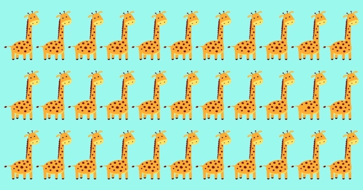 Test žirafa