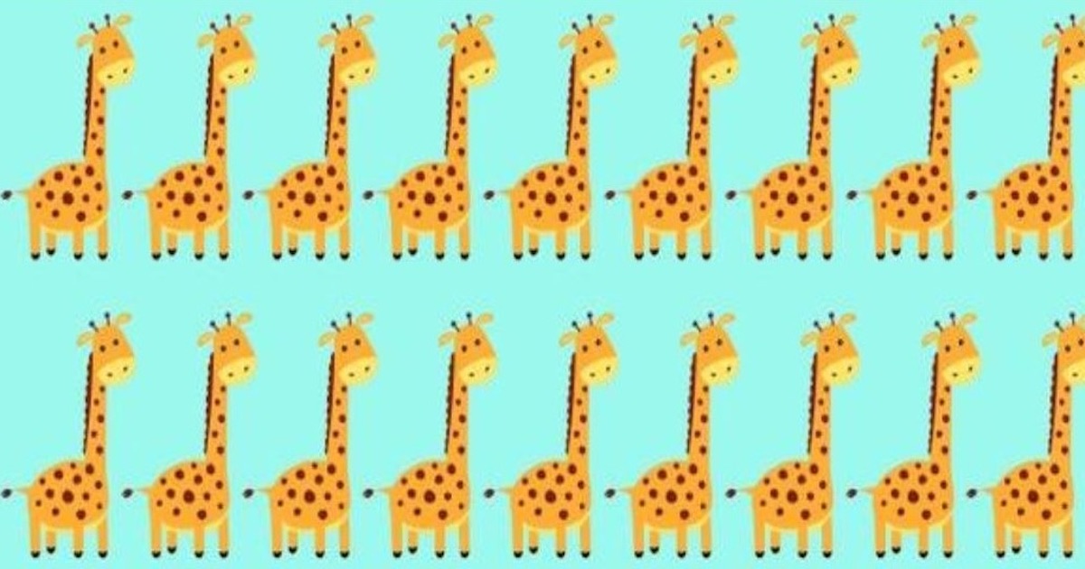 Žirafa náhledový obrázek