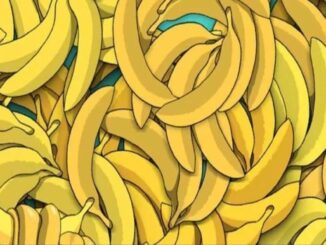 Banány náhledový obrázek