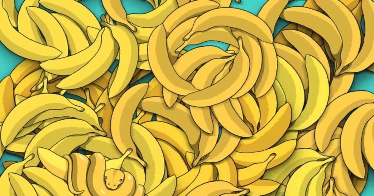Banány test