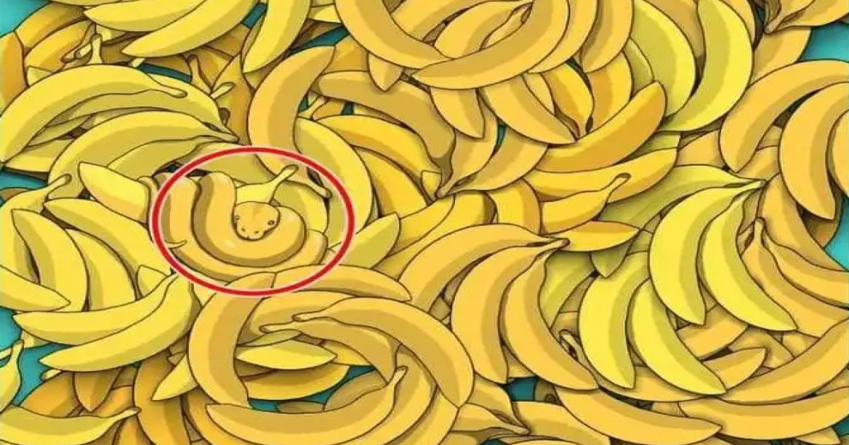 had v banánech zadání