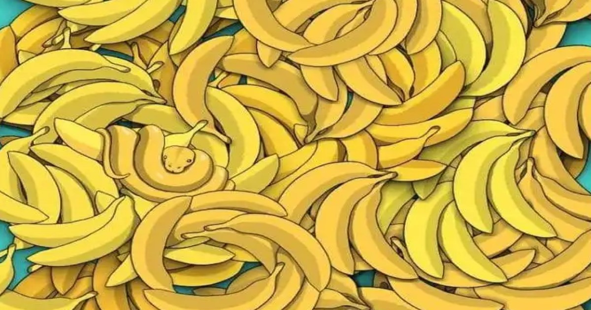 Has v banánech řešení