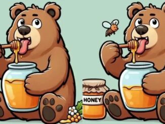 Medvěd rozdíly