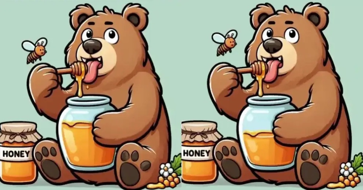Medvěd rozdíly