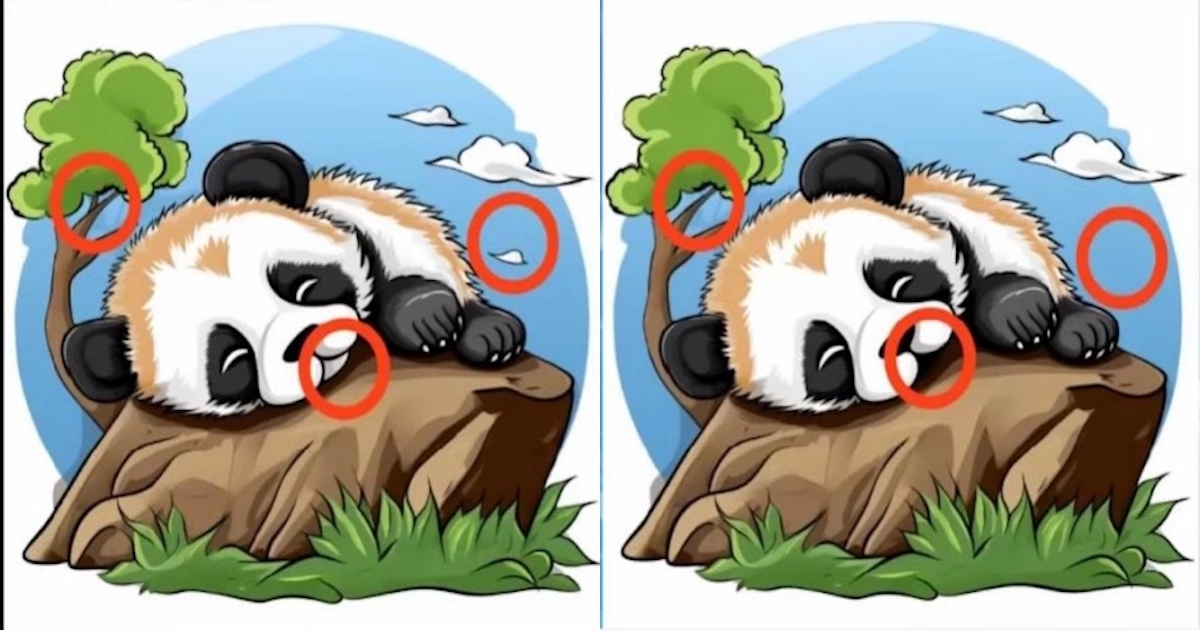 Rozdíly panda řešení