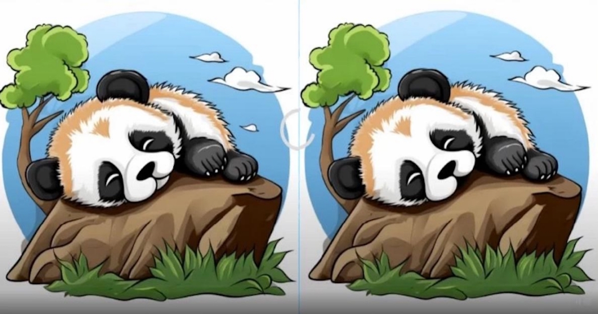 Rozdíly panda