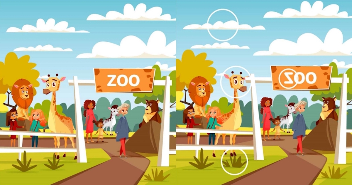 Rozdíly zoo řešení