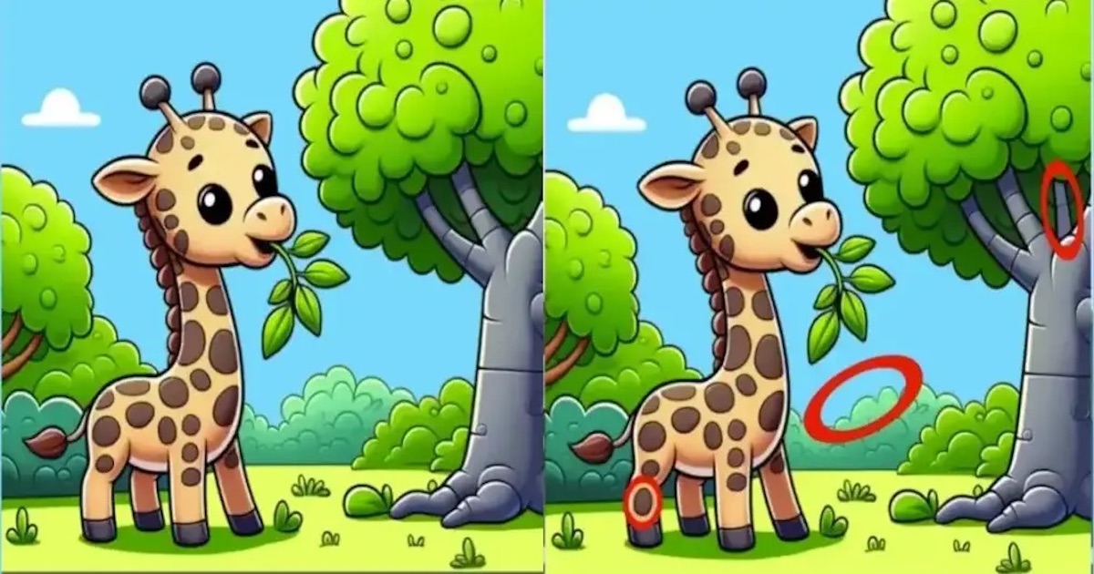 Žirafa rozdíly řešení