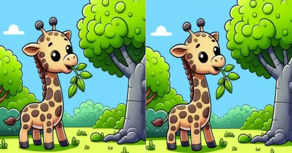 Žirafa rozdíly