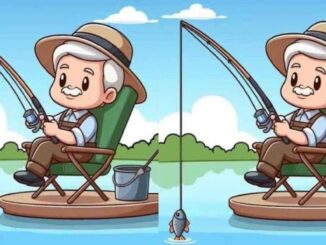 Rozdíly rybář