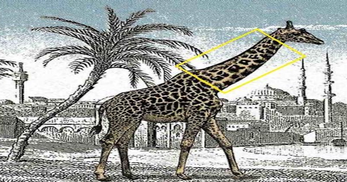 Žirafa řešení